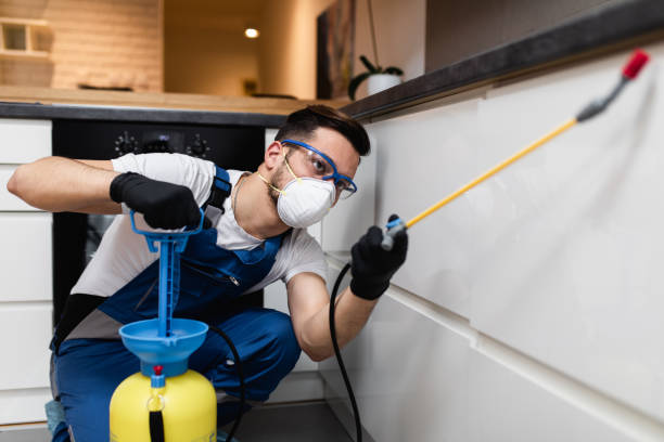Trusted Belle, MO Pest Control Experts